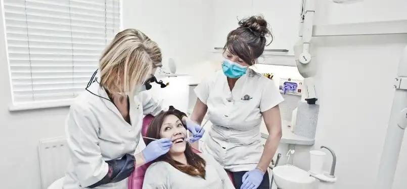 Bác sĩ Nha khoa có rất nhiều cơ hội việc làm như nha sĩ lâm sàng, nha khoa phục hình, nha khoa trẻ em, nha sĩ cảnh quan, và nha khoa nghiên cứu.