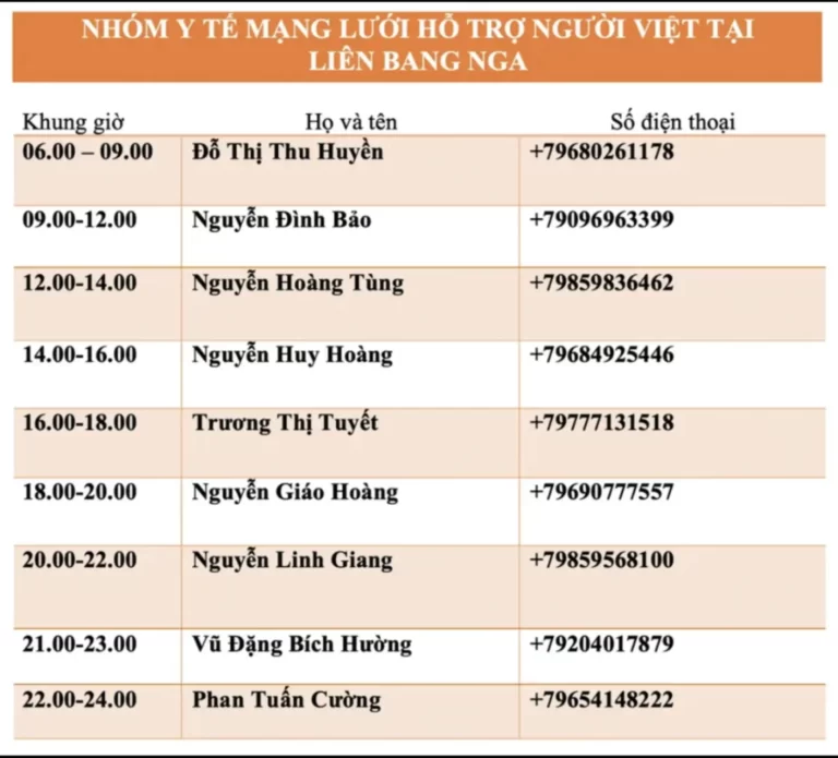 nhom y te ho tro nguoi viet tai nga