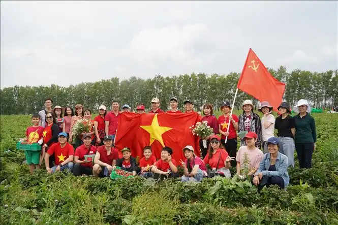 Đại sứ quán Việt Nam tham gia Ngày Thứ bảy Cộng sản tại Nga 5 dai su quan viet nam tham gia ngay thu bay cong san tai nga