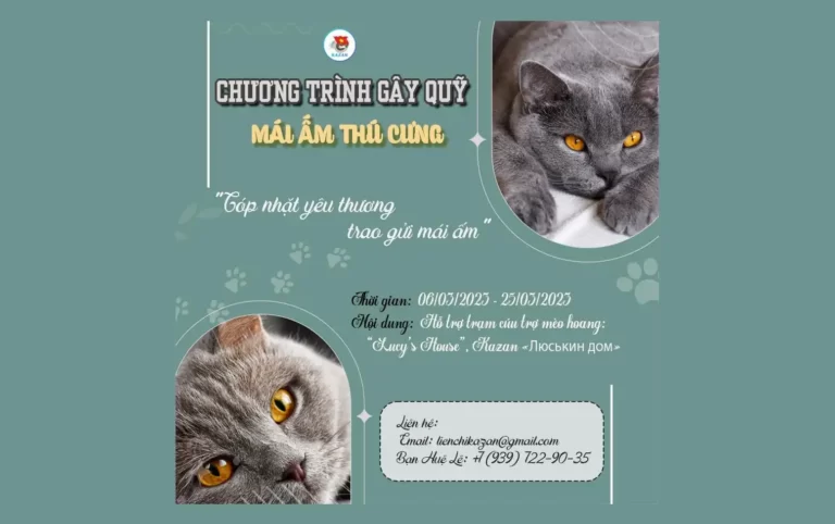 lien chi doan kazan to chuc gay quy mai am thu cung 2023