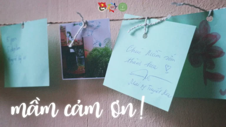 Vòng Tay Việt Nga gửi lời cảm ơn cho sự kiện Mầm 2023 7 vong tay viet nga gui loi cam on cho su kien mam 2023