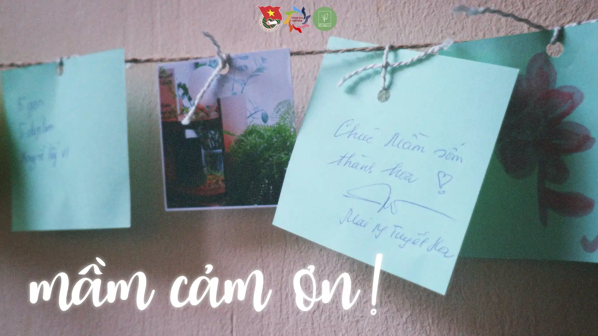 vong tay viet nga gui loi cam on cho su kien mam 2023