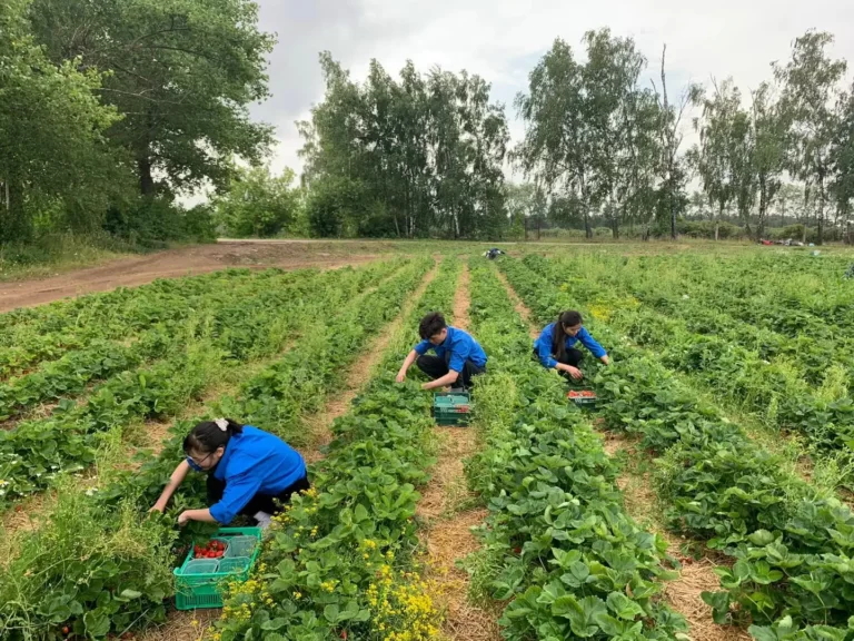 sinh vien viet nam trai nghiem hai dau tai nong truong lenin nam 2023