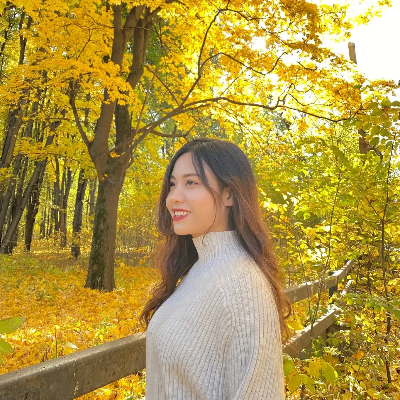 pham thi thuy trang cu nhan kinh te dai hoc kinh te quoc dan nga mang ten plekhanov 2