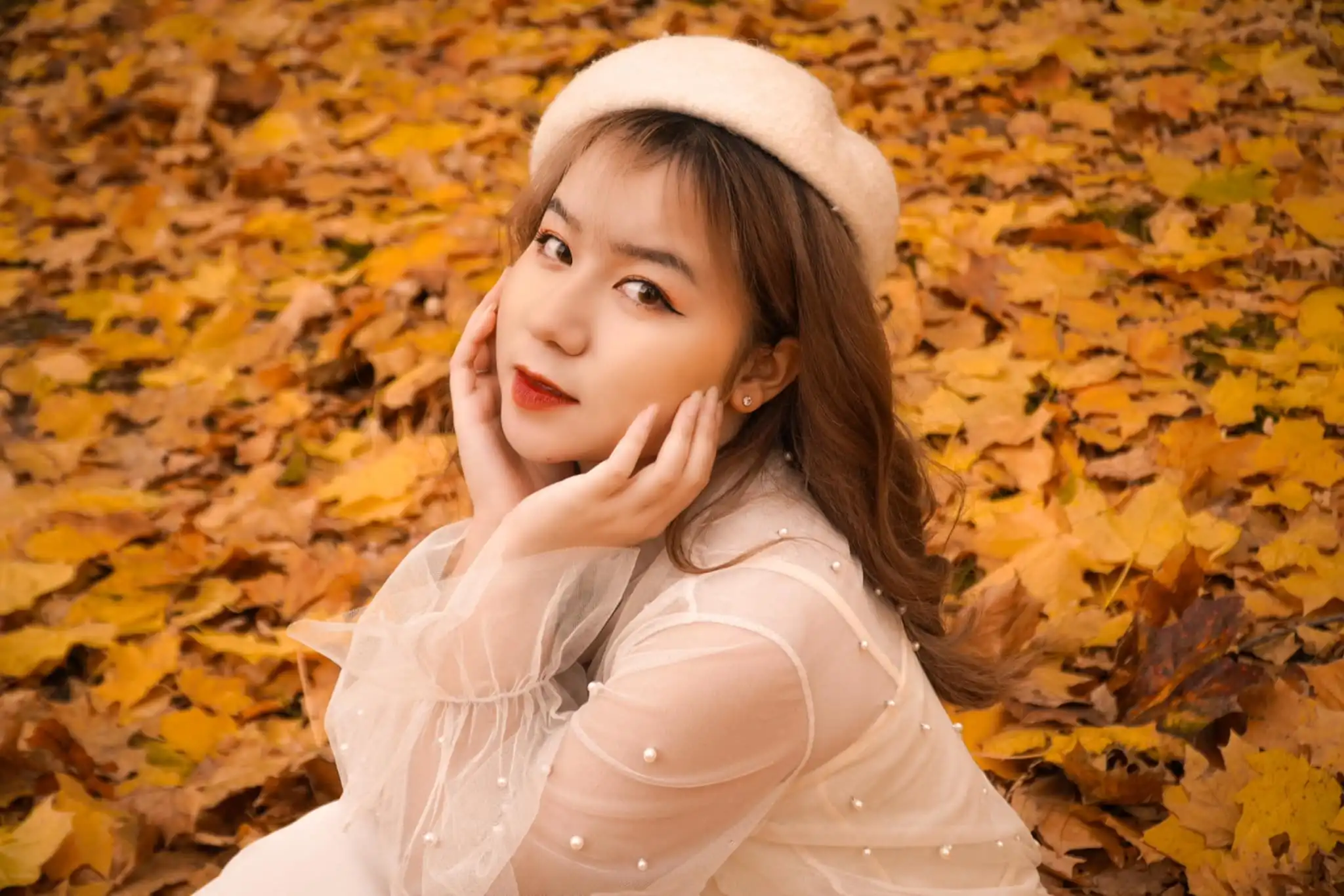 trinh phuong hoa cu nhan luat dai hoc kinh te quoc dan nga mang ten plekhanov 4