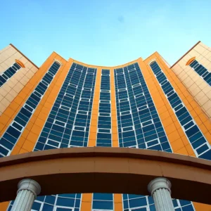 omsu 4