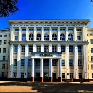 bsau 3