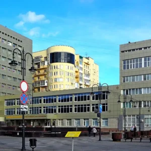 vavilovsar