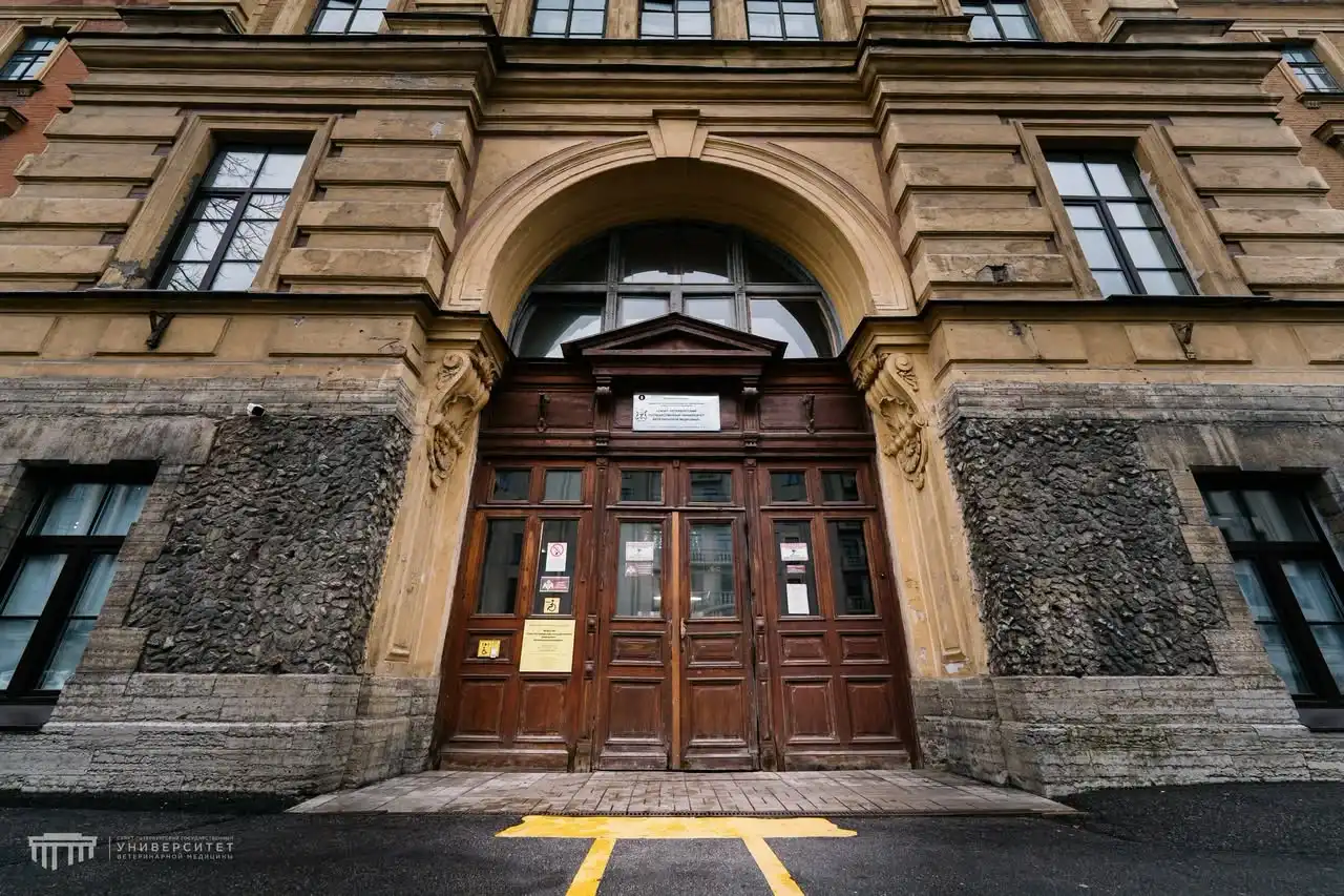 dai hoc thu y saint petersburg de nghi chuyen doi co quan quan ly